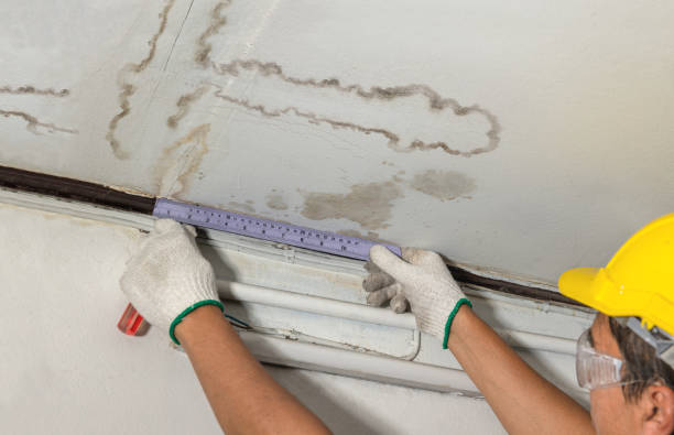 Reliable Structural Drying contractor in Blue Ridge, TX by Water Damage Irwin
